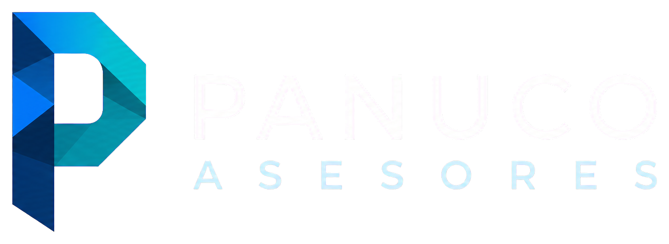 Panuco Asesores